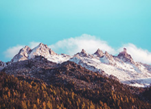 非洲杯-萨拉赫轮休 埃及0-0安哥拉2胜1平头名出线